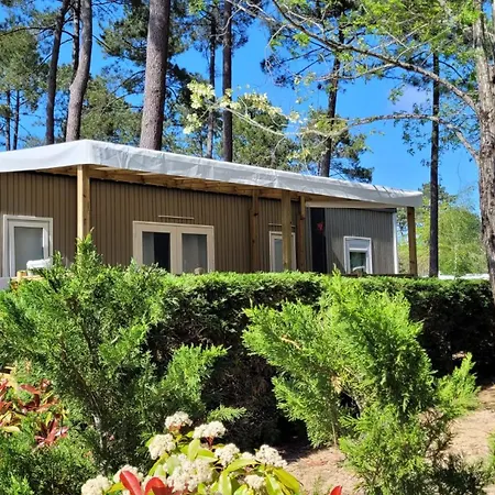 Camping Ares * آريس