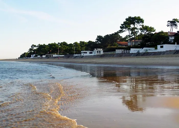 Camping Ares آريس