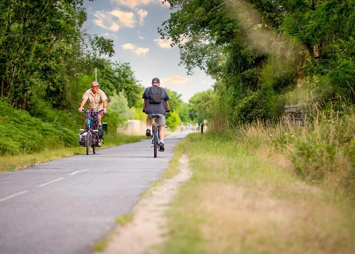 Camping Ares منتجع