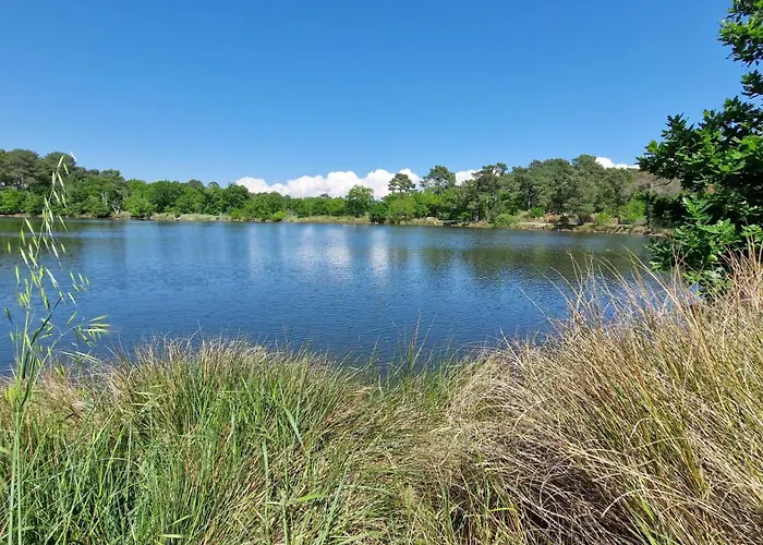 Camping Ares Ośrodek wypoczynkowy *